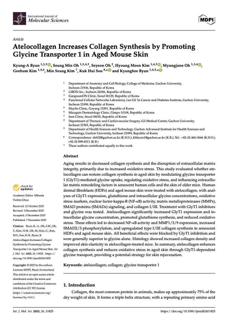Atelocollagen Increases Collagen Synthesis by Promoting Glycine Transporter 1 in Aged Mouse Skin